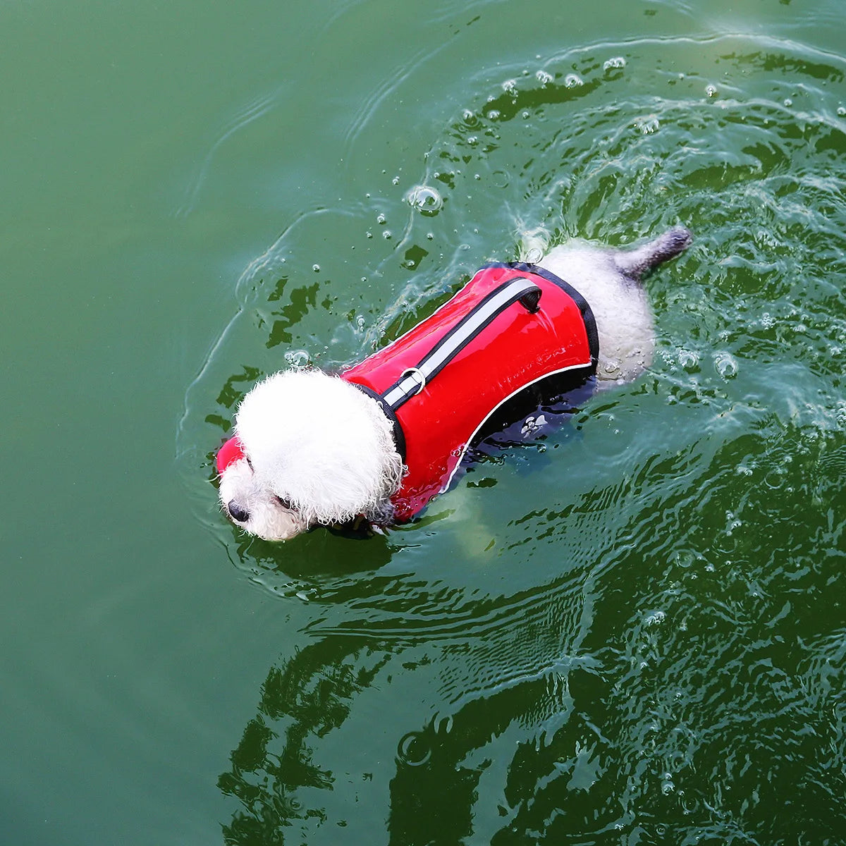 Safe Pup Swim Jacket — Dog Life Vest With Chin Float